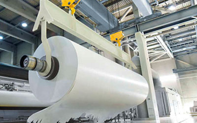 Papel e Celulose